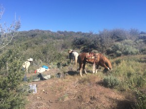 Ronda. Cheyenne, Lizzie.