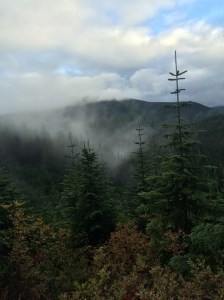 I'm gonna freeze again