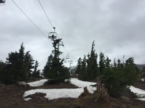 Timberline